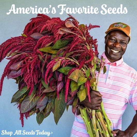 Rareseeds